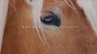 RMC Equestrian Studies Visit [upl. by Soren]