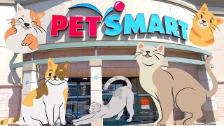 SHOPPING AT PETSMART ANIMAL FRIENDS EVERYWHERE  CAT 🐈🐈 [upl. by Chilson]