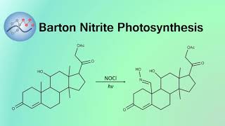 Barton Nitrite Photosynthesis Mechanism  Organic Chemistry [upl. by Haimorej568]