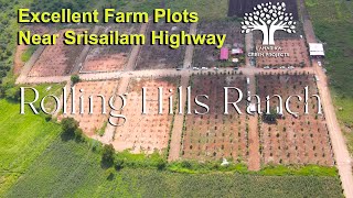 Excellent Farm Lands Near Future City Mucherla  Rolling Hills Ranch on Srisailam Highway [upl. by Elleneg]