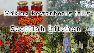 Foraged Rowanberry jelly  Scottish food [upl. by Llerrit]