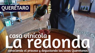 Conocimos el proceso para elaborar el vino en VIÑEDOS LA REDONDA  QUERÉTARO México  Mundo Chévez [upl. by Anul]