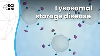 What are Lysosomal Storage Diseases [upl. by Alenson463]