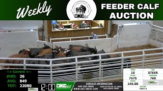 9252024  OKC West Feeder Calf Auction [upl. by Egamlat]