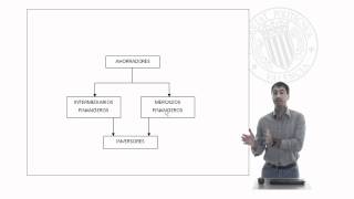 La función del sistema financiero   UPV [upl. by Peednus]