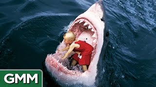 6 Strangest Things Swallowed by a Shark [upl. by Frodi]