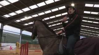 Au trot parfait avec votre cheval  Equidia Life [upl. by Yendic]