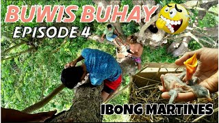 Ep4 BUWIS BUHAY NA PAGKUHA NG MGA INAKAY NG IBONG MARTINES ANG NAGSASALITANG IBON [upl. by Ydnew]