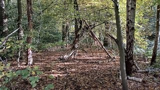 Building a Natural Shelter Camp in Autumnal Hainault Forest by Gemma Boyd [upl. by Bernardine]