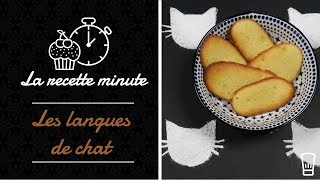 🍰 BISCUITS LANGUE DE CHAT 🍰 [upl. by Dyane]