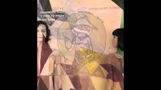 Gotye  Somebody That I Used To Know ft Kimbra Robotic Pirate Monkey Remix [upl. by Queena]