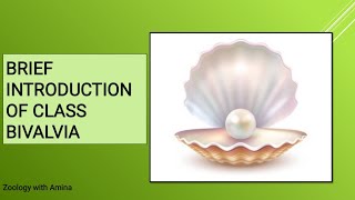 Introduction of class Bivalvia Shell and associated structures of class Bivalvia Wild pearl making [upl. by Ingrid]