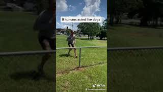 If Humans Acted Like Dogs [upl. by Egiaf]