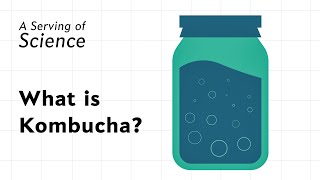 What is Kombucha [upl. by Htinek]