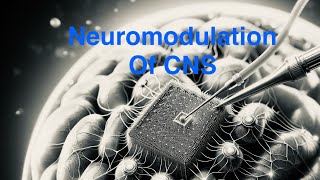 2024  Neuromodulation of CNS [upl. by Lonnie]