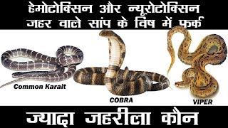 सबसे जहरीला सांप कौन  Hemotoxic Venom VS Neurotoxic Venom  Types of Snake Venom amp effect on Humans [upl. by Muraida582]