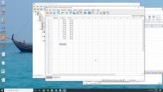 Descriptive statistics in SPSS and PAST  Lecture 7 [upl. by Hartmunn328]