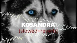 Kosandra slowedreverbed song attitude carsongs slowedandreverb [upl. by Yewed165]