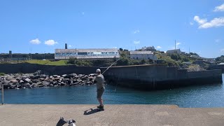 Anglesey Species Hunt Rover  Shore fishing Anglesey North Wales [upl. by Oirasec]