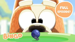 Bingo 🧡 FULL EPISODE  Bluey Series 2  Bingo  Official Channel [upl. by Ttsepmet858]