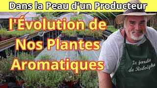 Découvrez lÉvolution de Nos Plantes Aromatiques sous Tunnel en Juillet [upl. by Bushweller319]