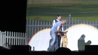 cesar millan live in ahoy quotgerman sheppardquot [upl. by Antonietta739]