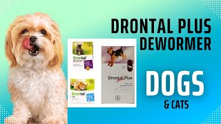 How to Deworm Your Dog For Tapeworms Using Drontal Plus Location to Purchase for the Low [upl. by Eeryn]