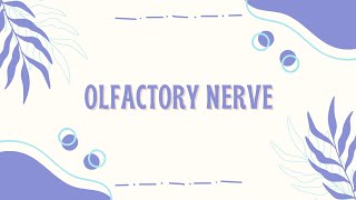 Pemeriksaan Olfactory Nerve [upl. by Etiam]