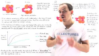 Cooperativity and Allosteric Effectors of ATCase [upl. by Wei]