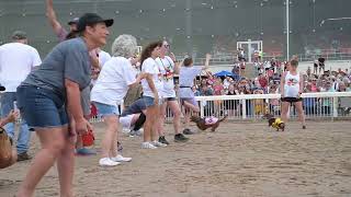 Wiener Dog Races 2023 at Louisiana Downs [upl. by Fania]