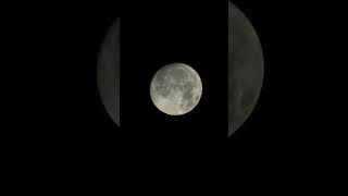 Полнолуние природа  Full MooN nature [upl. by Eulau]