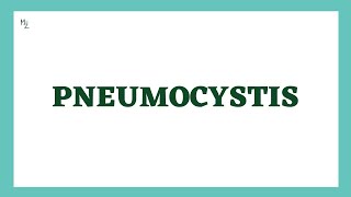 Pneumocystis  Pneumocystis jirovecii  medzukhruf [upl. by Chilson]