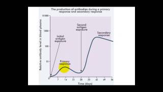 Immune Response Graph [upl. by Naujaj]