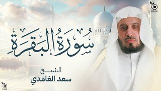 سورة البقرة  الشيخ سعد الغامدي [upl. by Rozele389]