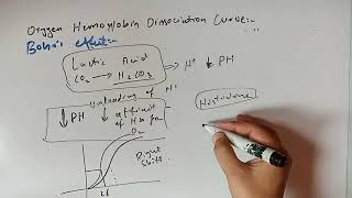 Oxygen Hemoglobin Dissociation Curve Protein Biochemistry 1st Year MBBS Lecture 6 [upl. by Lrat]