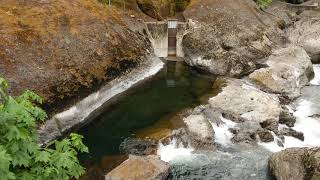 Upper Valsetz Falls  2 July 2018 [upl. by Esirehc]