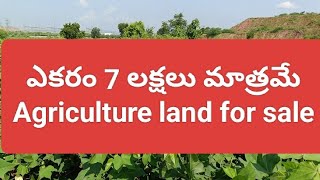 Acre  7 Lakhs  Agriculture land for sale in Telangana below 7 lakhs per one acre 9533344166 [upl. by Lletnuahs]