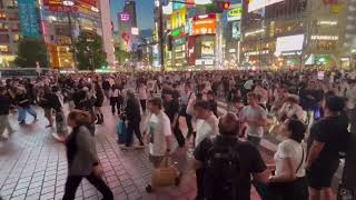 Shibuya Crossing Tokyo [upl. by Atokad]