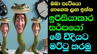 ඊර්ශ්යකාර සර්පයෝ වගේ මිනිස්සුන්ගෙන් පරිස්සම් වෙන්නේ කොහොමද  How to Handle SnakeLike Jealous People [upl. by Uolymme]