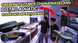 Koleksi DISTRO AQUATICYOUTUBER CHANA KONDANG dari MAGELANG [upl. by Asa]