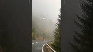 sisli bir yolda bilinmeze yolculuk 🇷🇴 roadtrip fog suv automobile reels shortvideo shorts [upl. by Eelsel]