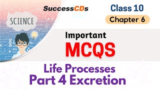 Excretion Class 10 Science Chapter 6 Important MCQs  Class 10 Biology Life Processes MCQs [upl. by Ynattir595]