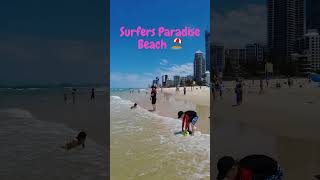 Surfers Paradise Beach 🏖️ Gold Coast Australia [upl. by Kessia]