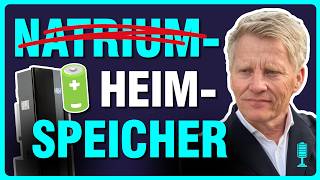 A Piepenbrink 💥 2025 Mit BatterieSpeicher DYNAMISCH einspeisen  Geladen Podcast [upl. by Tallula]