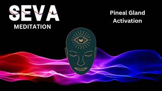 SEVA MEDITAITON  PINEAL GLAND ACTIVATION [upl. by Vere80]