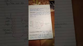 shorts Chapter14Placentation in Mammalsbsc head written notes zoology [upl. by Marx]