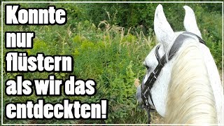 Konnte nur flüstern als wir das entdeckten beim Wanderritt mit meinem Freund [upl. by Kellda]