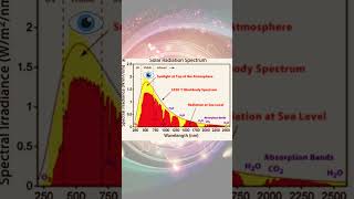 Ultraviolet Catastrophe Black Body Radiations problem chemlogics Shorts chemistry [upl. by Edecrem812]