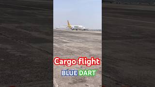 Blue dart cargo flighthow to my short videoviralvideo lovestatus [upl. by Kceb]