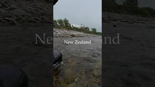 Otago New Zealand fly fishing [upl. by Ueihttam]